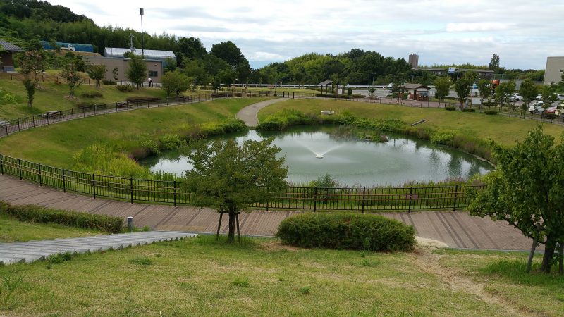 愛彩ランドの横の池