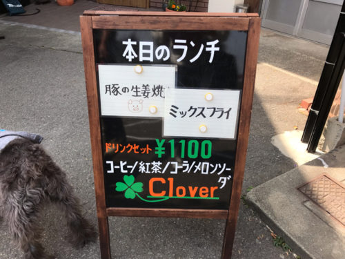 clover30