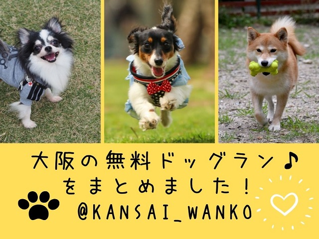大阪無料ドッグラン ワンちゃんとたっぷり遊ぼう 愛犬家に人気の場所をまとめて紹介 関西 わんこー関西で犬と一緒にお出かけできる場所を紹介