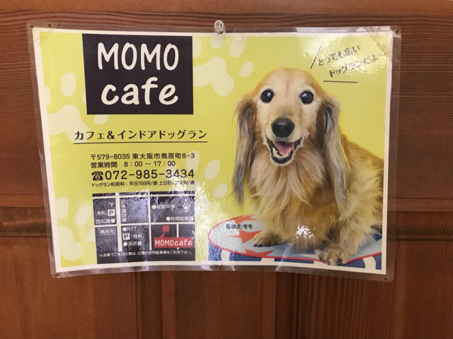 Momocafe モモカフェ 大阪府東大阪市 室内ドッグラン ドッグカフェ 1時間0円で利用できるよ 関西 わんこー関西で犬 と一緒にお出かけできる場所を紹介