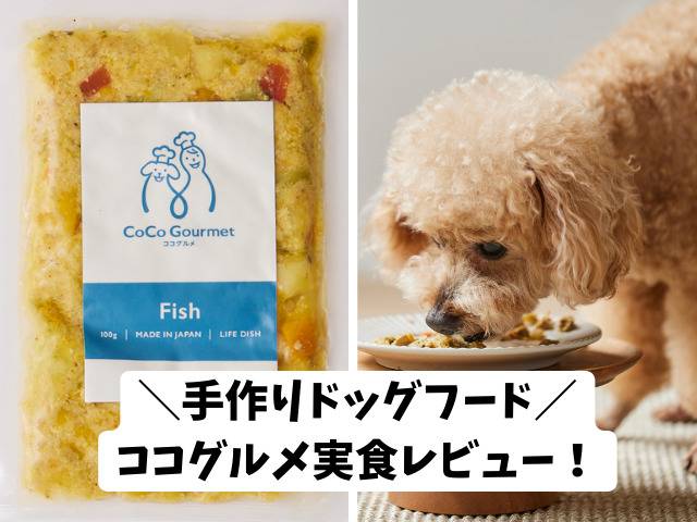 ココグルメ口コミ 値段や解約方法も詳しくレビュー フレッシュ 栄養バランス良しの手作りドッグフード 関西 わんこー関西で犬と一緒にお出かけできる場所を紹介