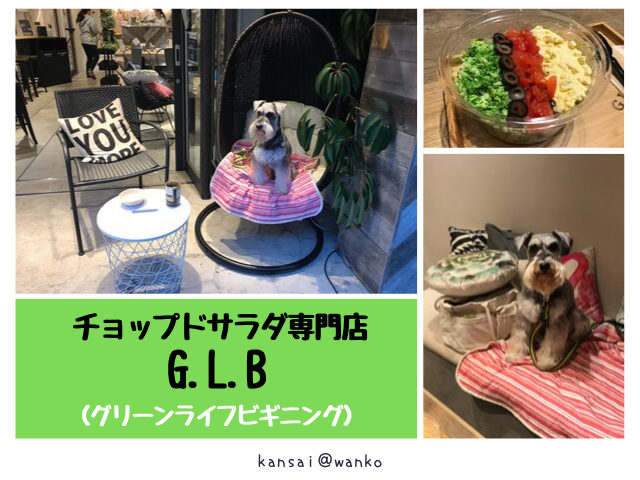 G L B グリーンライフビギニング チョップドサラダ専門店 大阪北堀江 ワンコ店内一部ok 関西 わんこー関西で犬と一緒にお出かけできる場所を紹介