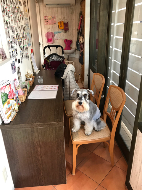 カフェデロロまきの店の個室と愛犬