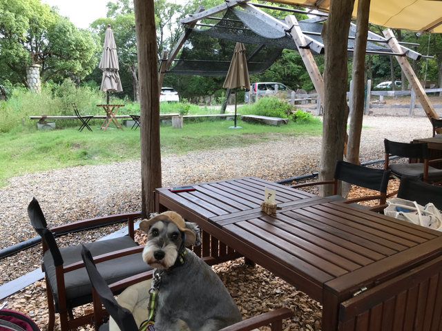 【保存版】兵庫でペット・犬と同伴できるカフェや飲食店をまとめました！ - 関西＠わんこー関西で犬と一緒にお出かけできる場所を紹介！