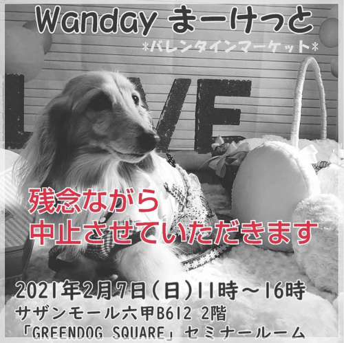 wanday2021e2