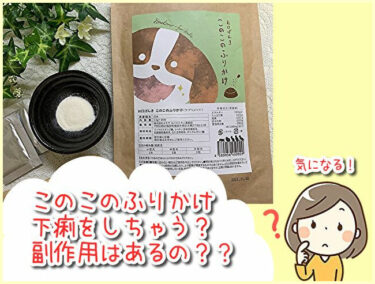 関西で犬とお出かけできる場所やペットのイベント情報などを紹介 関西わんこ 関西 わんこー関西で犬と一緒にお出かけできる場所を紹介