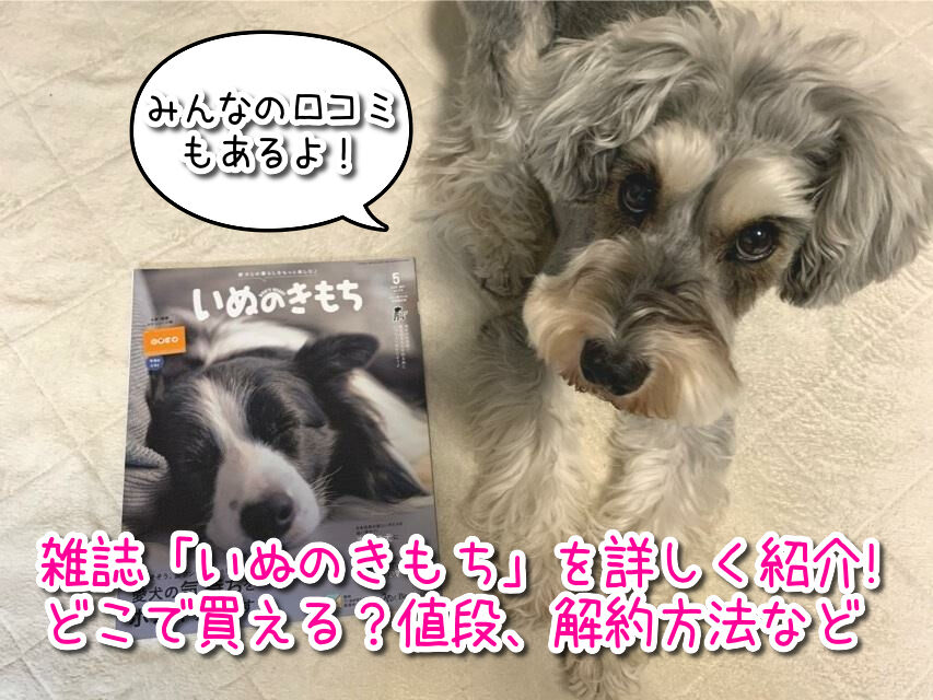 雑誌【いぬのきもち】の口コミと評判！値段やどんな付録が毎月