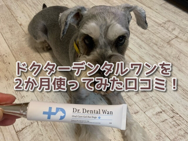 Dr DentalWan ドクターデンタルワン 犬用口腔ジェル 30g はみがき ゆう