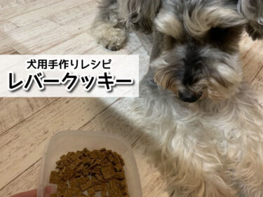 犬用きなこクッキー 簡単 ワンちゃんの手作りオヤツレシピ 材料5つですぐ作れる 関西 わんこー関西で犬と一緒にお出かけできる場所を紹介