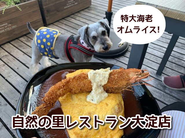 自然の里レストラン 奈良県御所市 特大エビフライをトッピングしたオムライスが人気 テラス席ワンちゃんok 関西 わんこー関西で犬 と一緒にお出かけできる場所を紹介