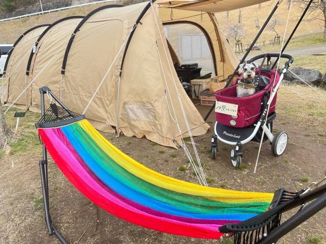 DODCAMPPARKKYOTOで愛犬とキャンプ