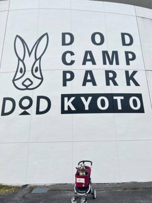 DODCAMPPARKKYOTOのロゴ看板と愛犬