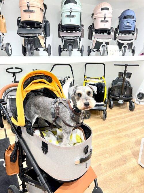 待望 ペットカート Air Buggy for Dog 小型犬 エアバギードーム3